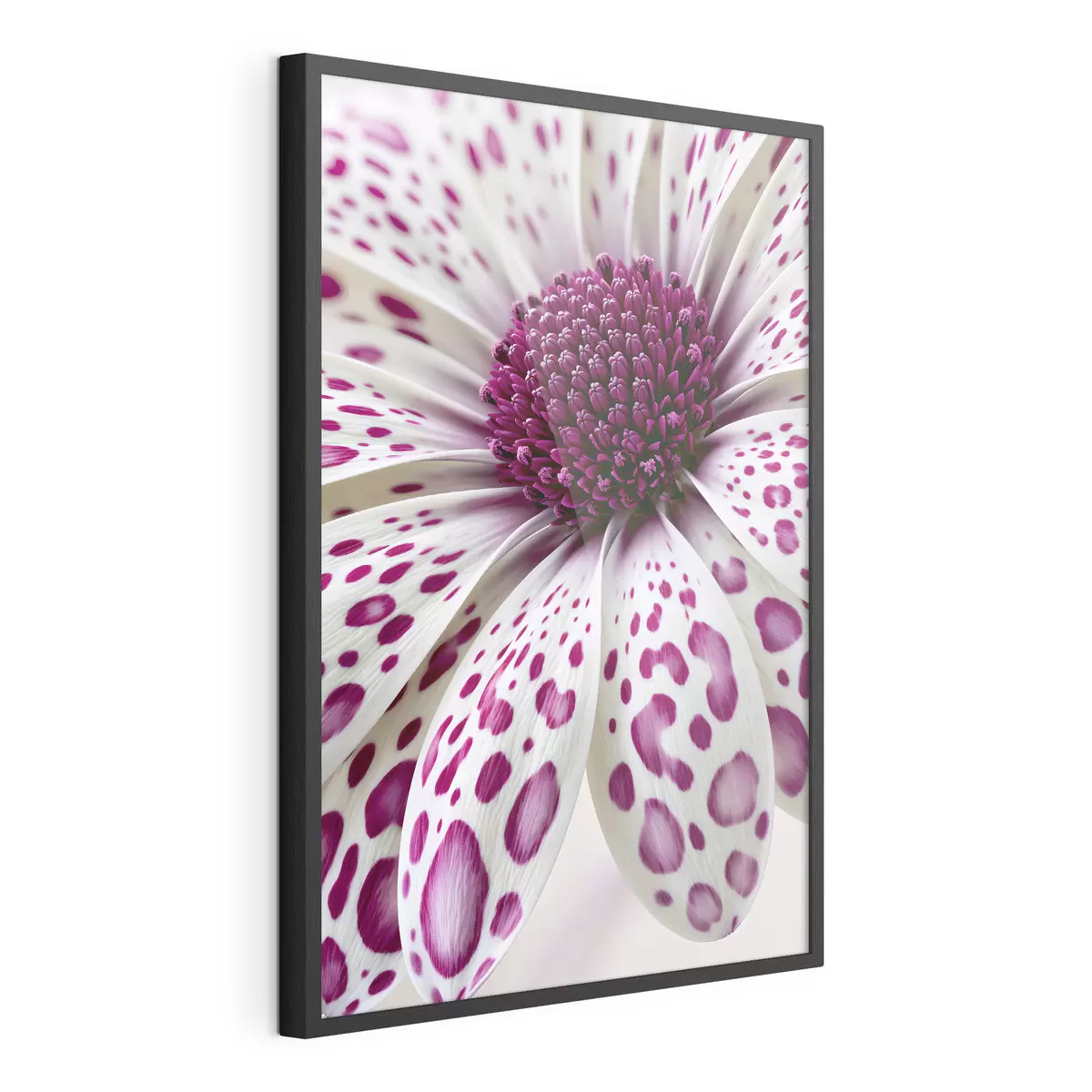 Poster Primo piano di un fiore simile a una margherita con vivaci macchie leopardate color magenta f49867