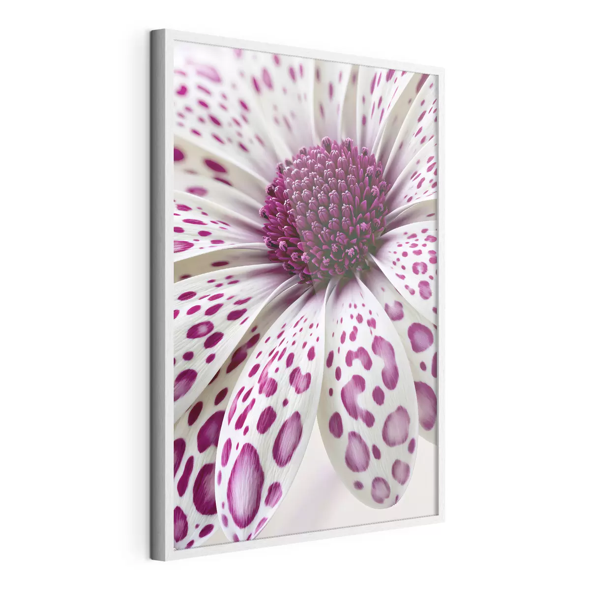 Poster Primo piano di un fiore simile a una margherita con vivaci macchie leopardate color magenta f49867