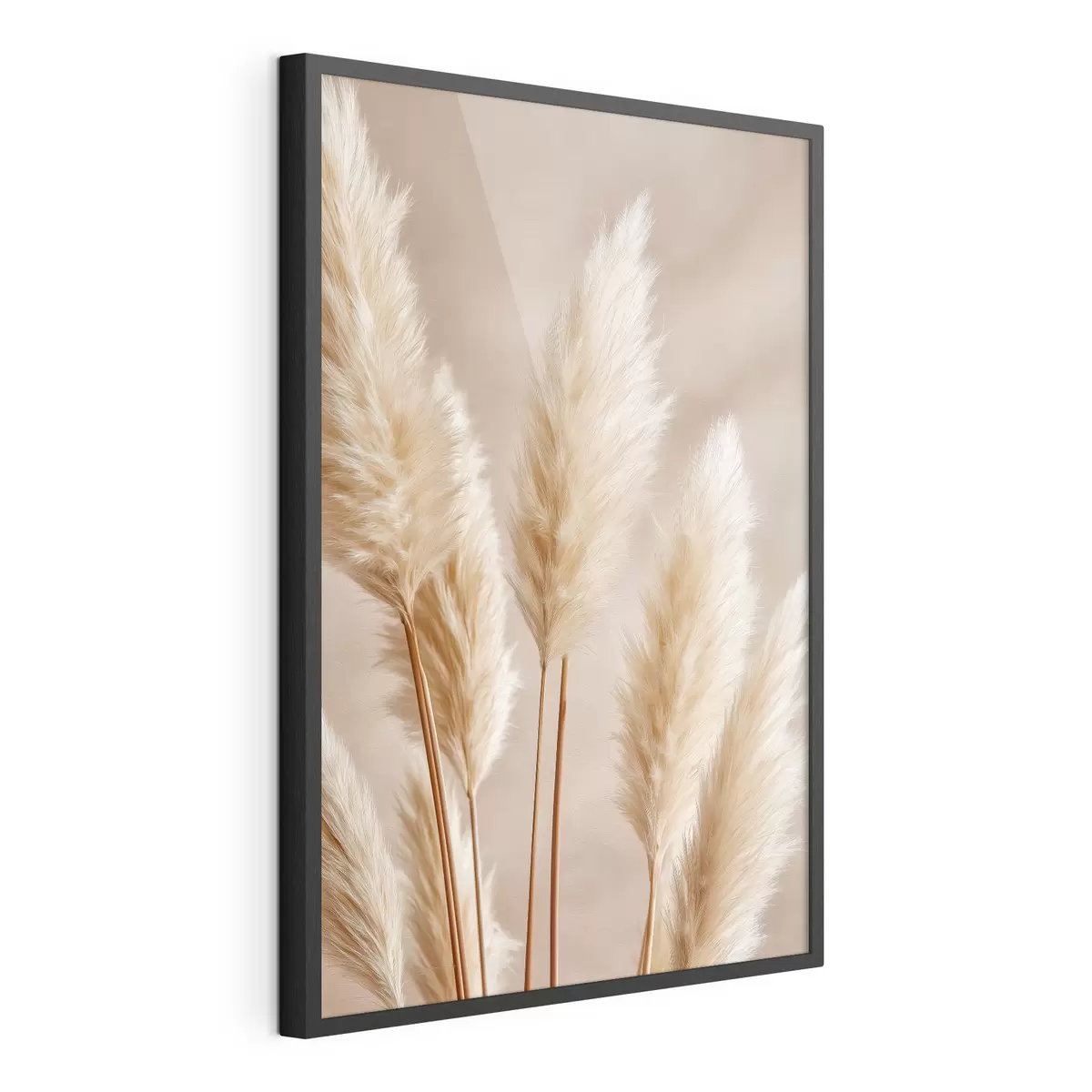 Poster Spighe di mais ed erba della pampa f49920