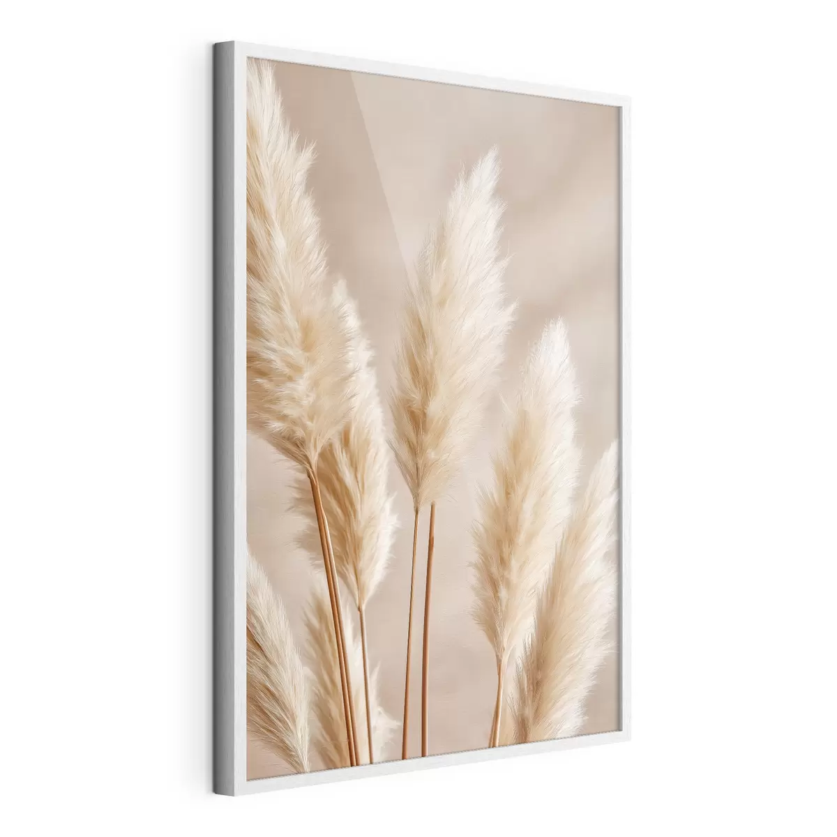 Poster Spighe di mais ed erba della pampa f49920