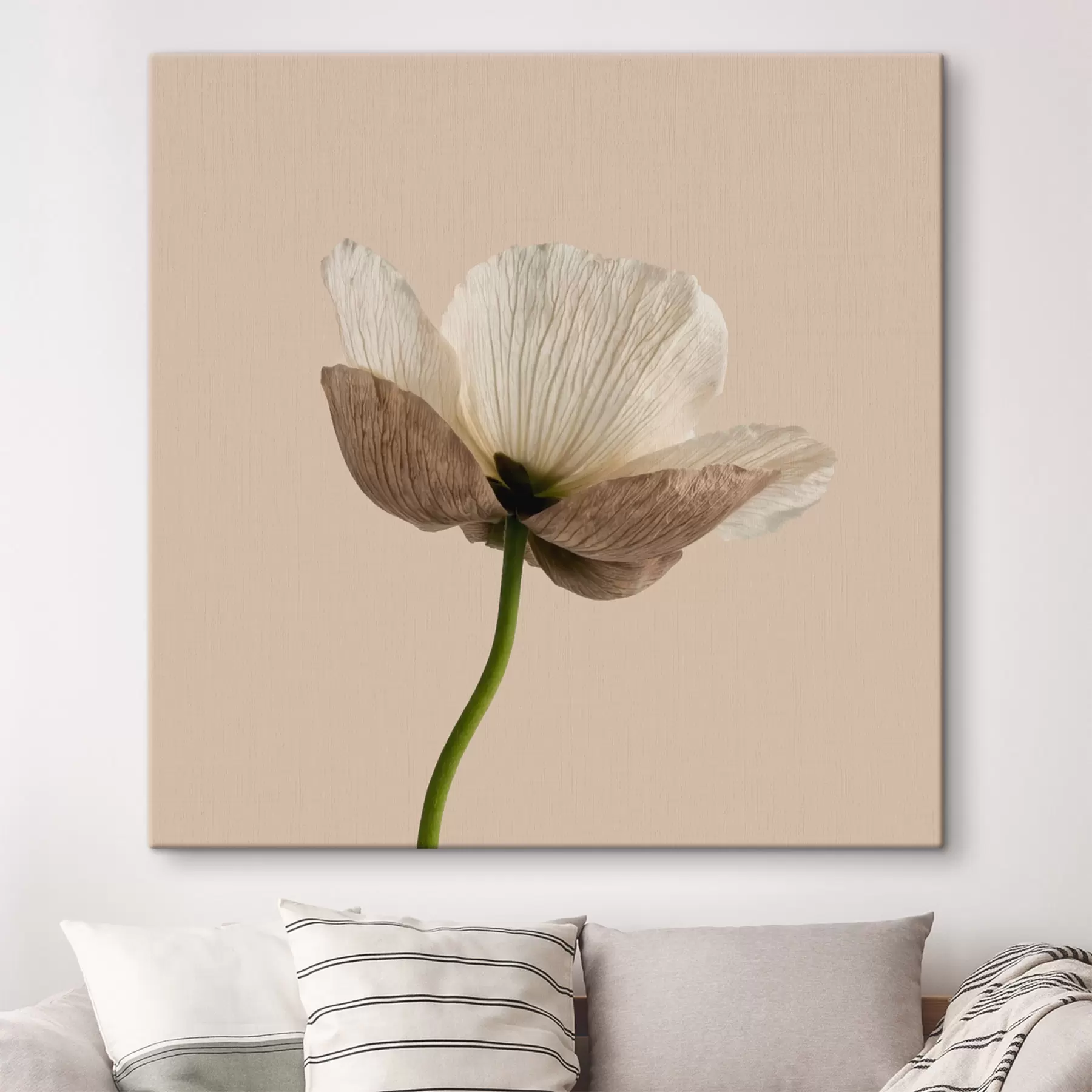 carta da parati Delicato fiore dai petali traslucidi su sfondo beige, in stile minimalista nr. s49718