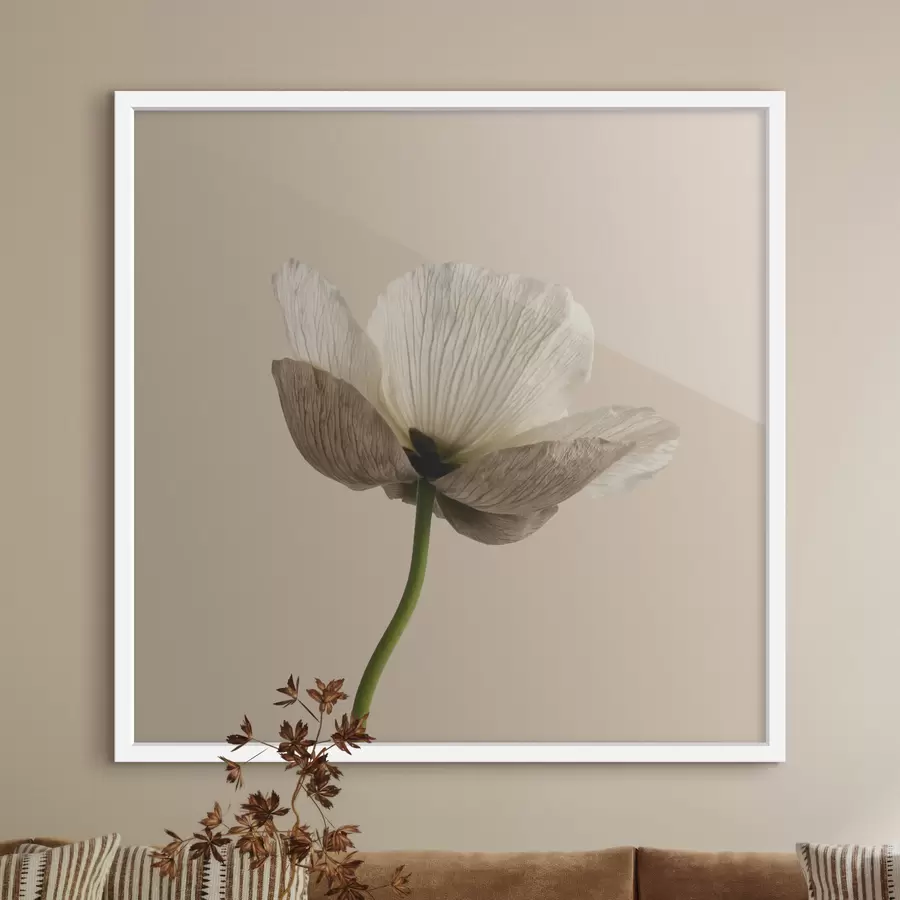 carta da parati Delicato fiore dai petali traslucidi su sfondo beige, in stile minimalista nr. f49718