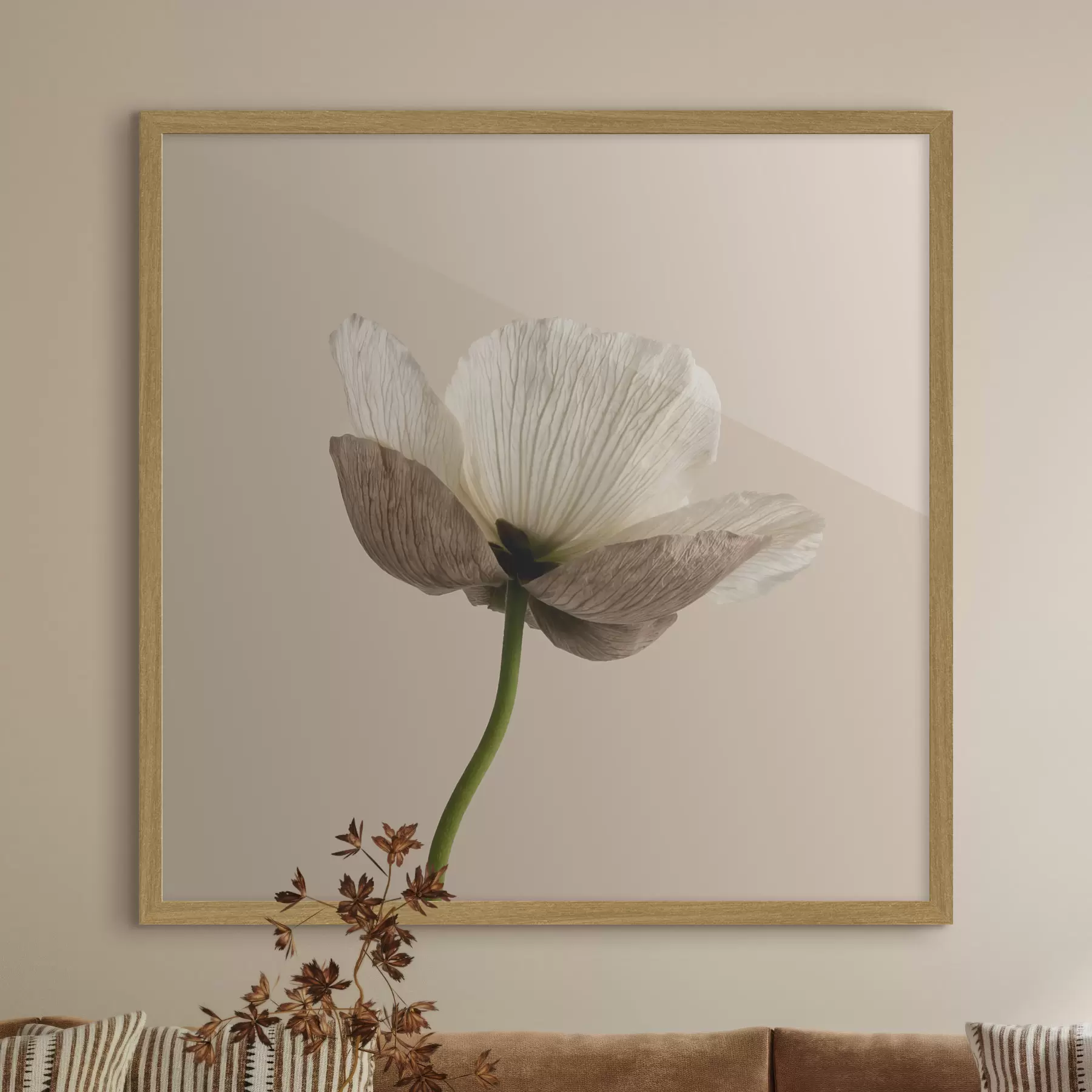 carta da parati Delicato fiore dai petali traslucidi su sfondo beige, in stile minimalista nr. f49718
