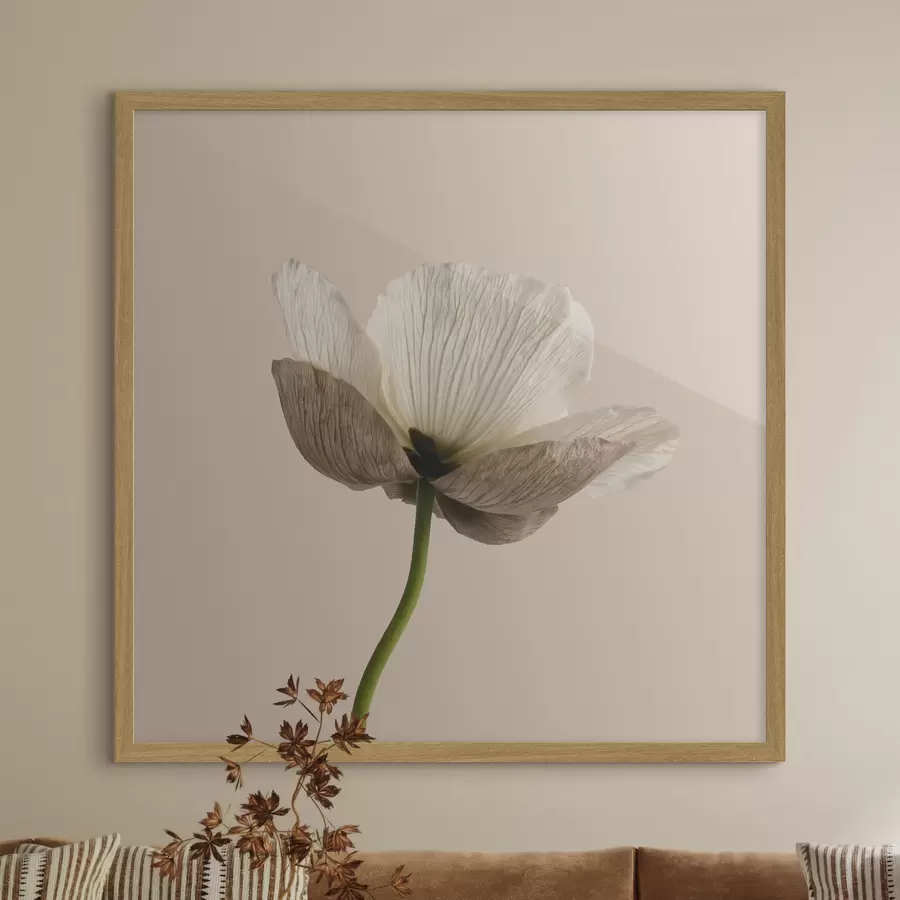 carta da parati Delicato fiore dai petali traslucidi su sfondo beige, in stile minimalista nr. f49718