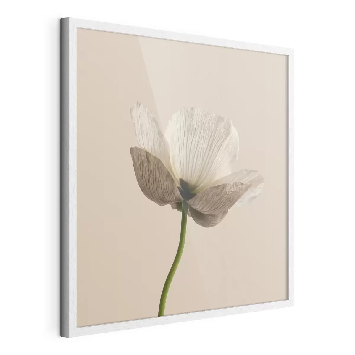 Poster Delicato fiore dai petali traslucidi su sfondo beige, in stile minimalista f49718