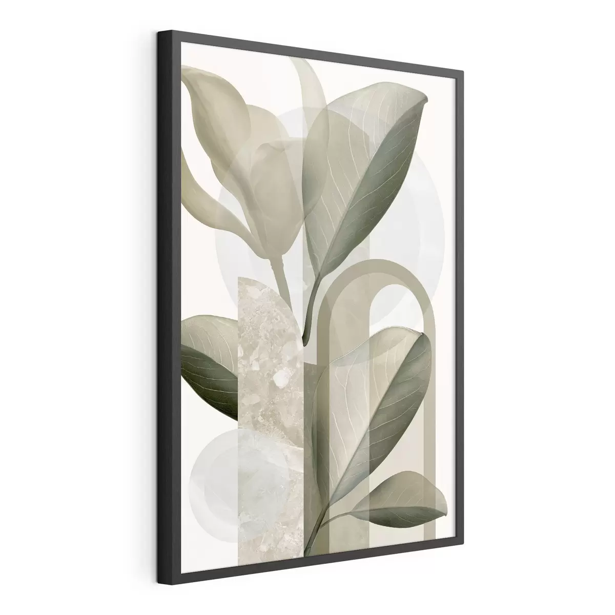 Poster Geometria botanica f50081