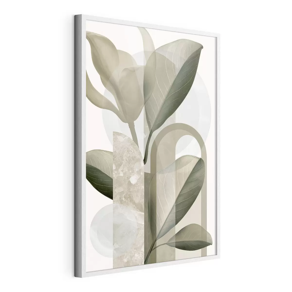 Poster Geometria botanica f50081