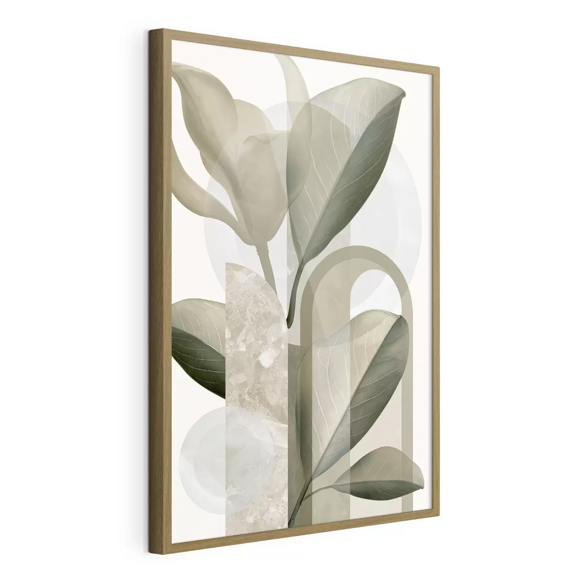 Poster Geometria botanica f50081