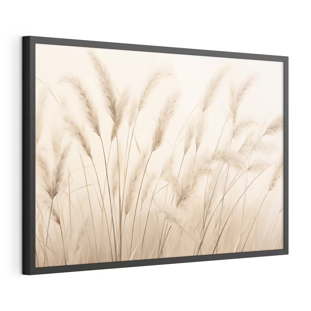 Poster Erbe e serenata f50356