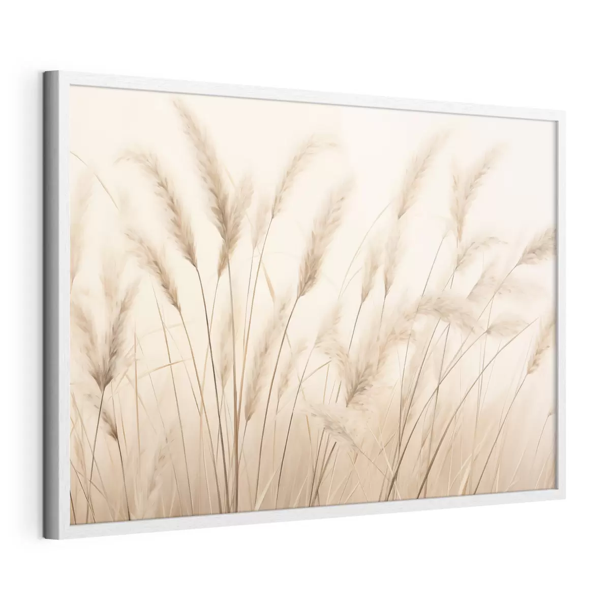 Poster Erbe e serenata f50356