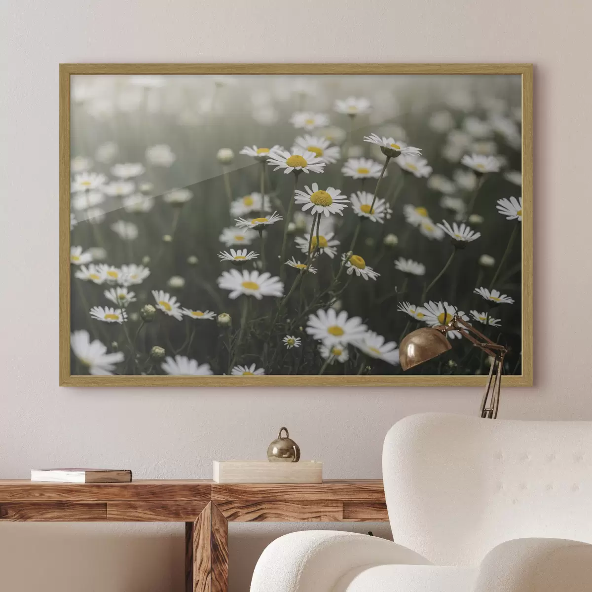 Poster Campo di margherite bianche con il centro giallo f50588