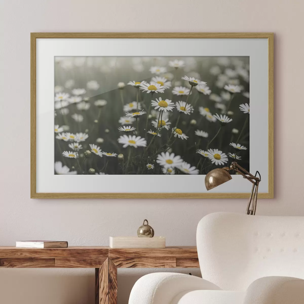 Poster Campo di margherite bianche con il centro giallo f50588
