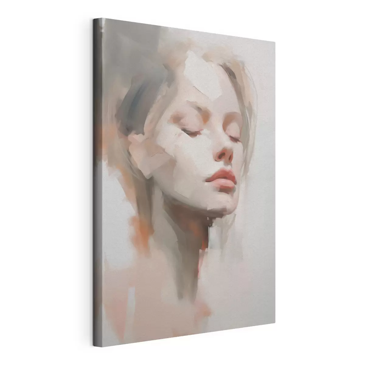 Quadro Ritratto astratto nr. s50978
