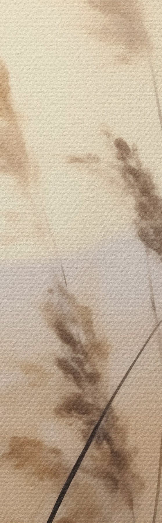 Quadro Erbe astratte, pittura in stile imitativo nr. s50986