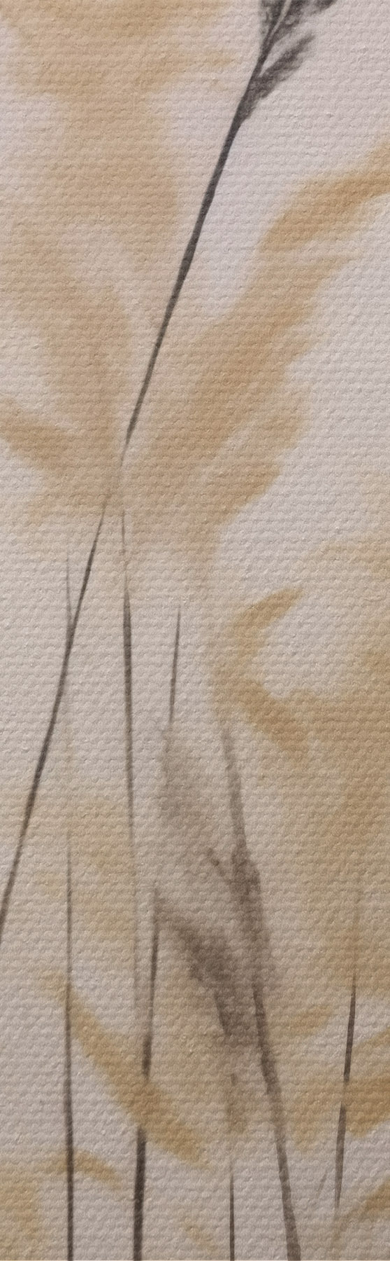 Quadro Erbe astratte, pittura in stile imitativo nr. m31062