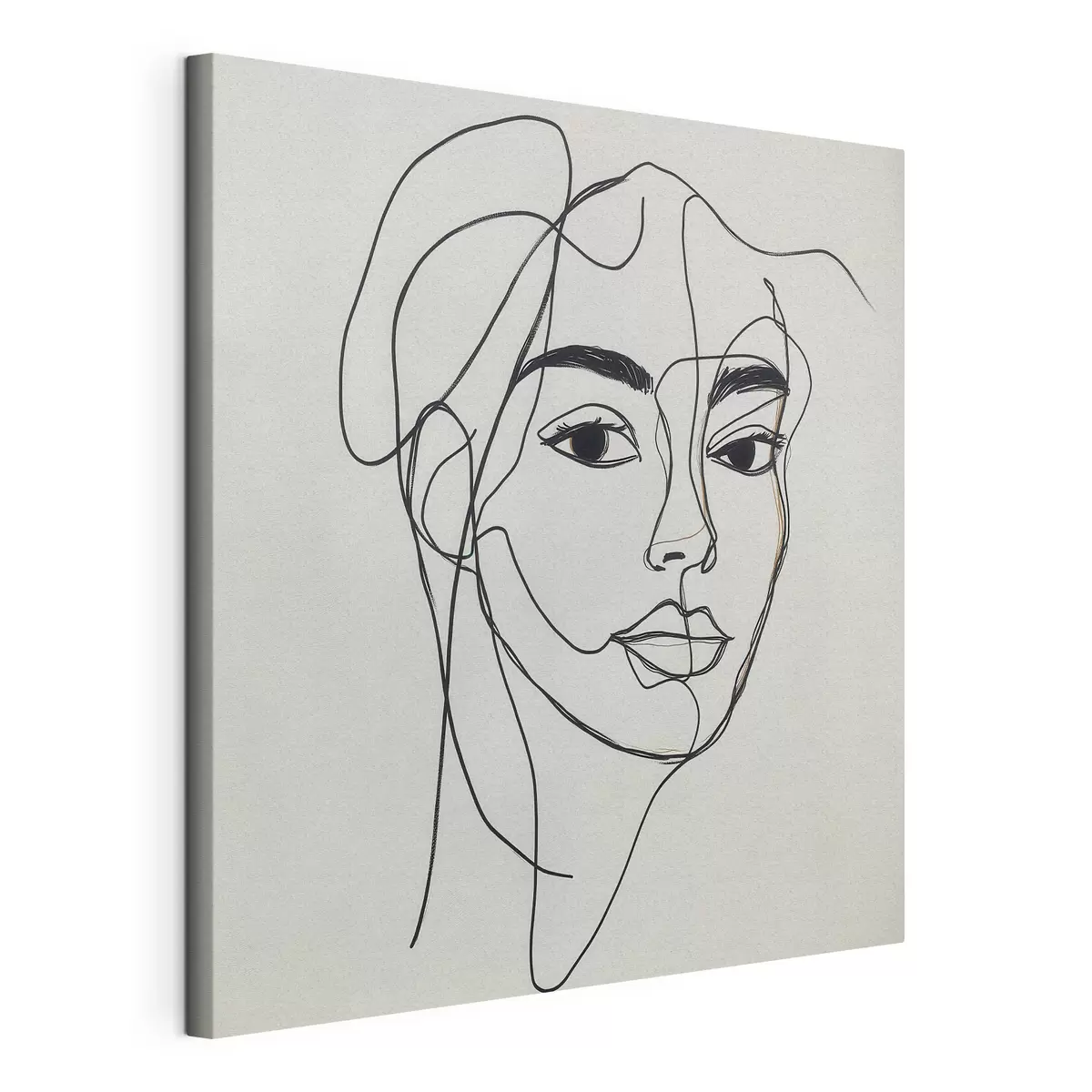 Quadro Ritratto lineare di un volto nr. s51001