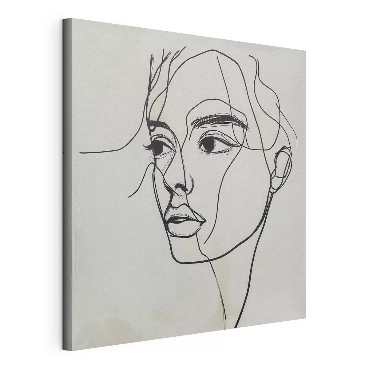 Quadro Ritratto lineare di un volto nr. s51002