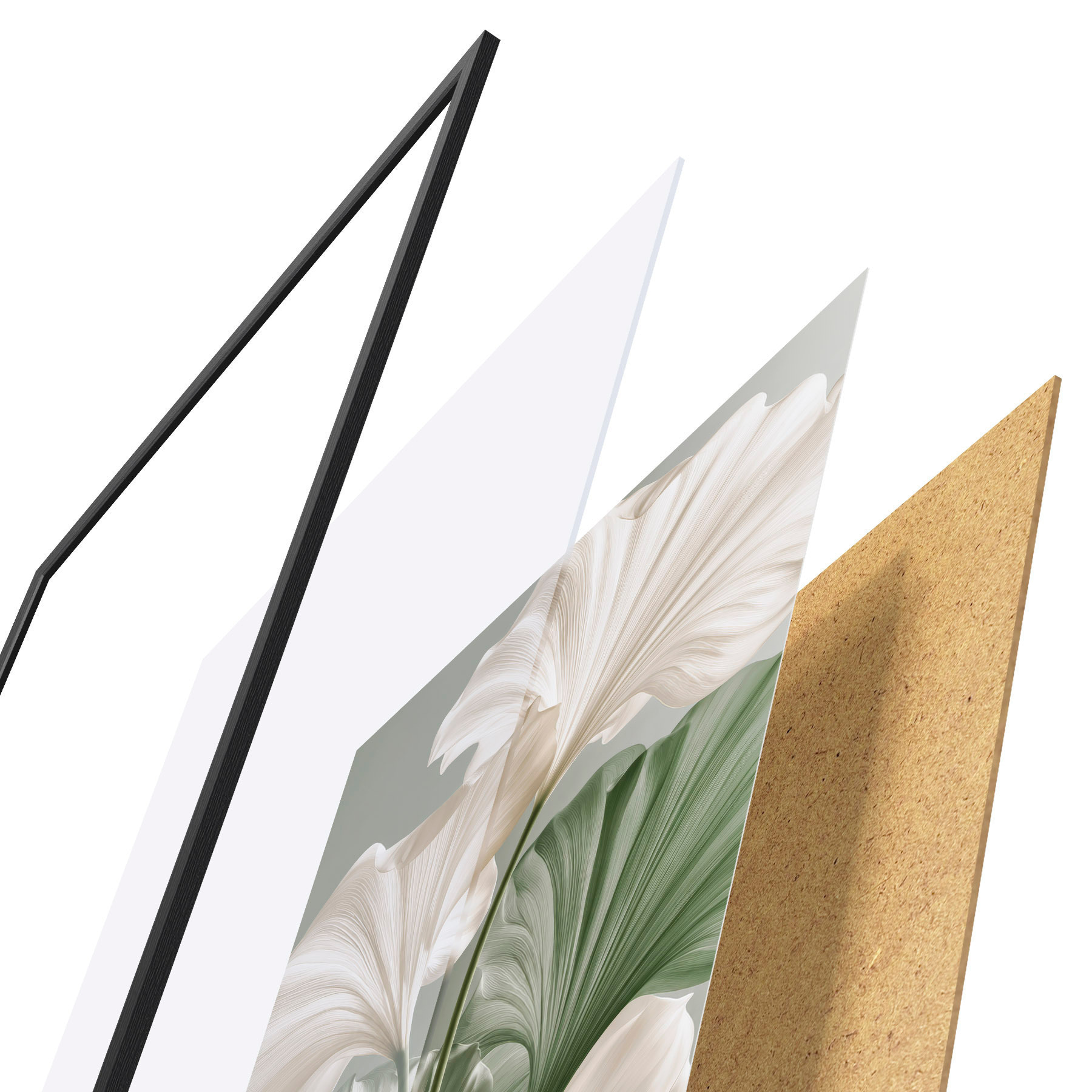 Poster Foglie delicate f50867