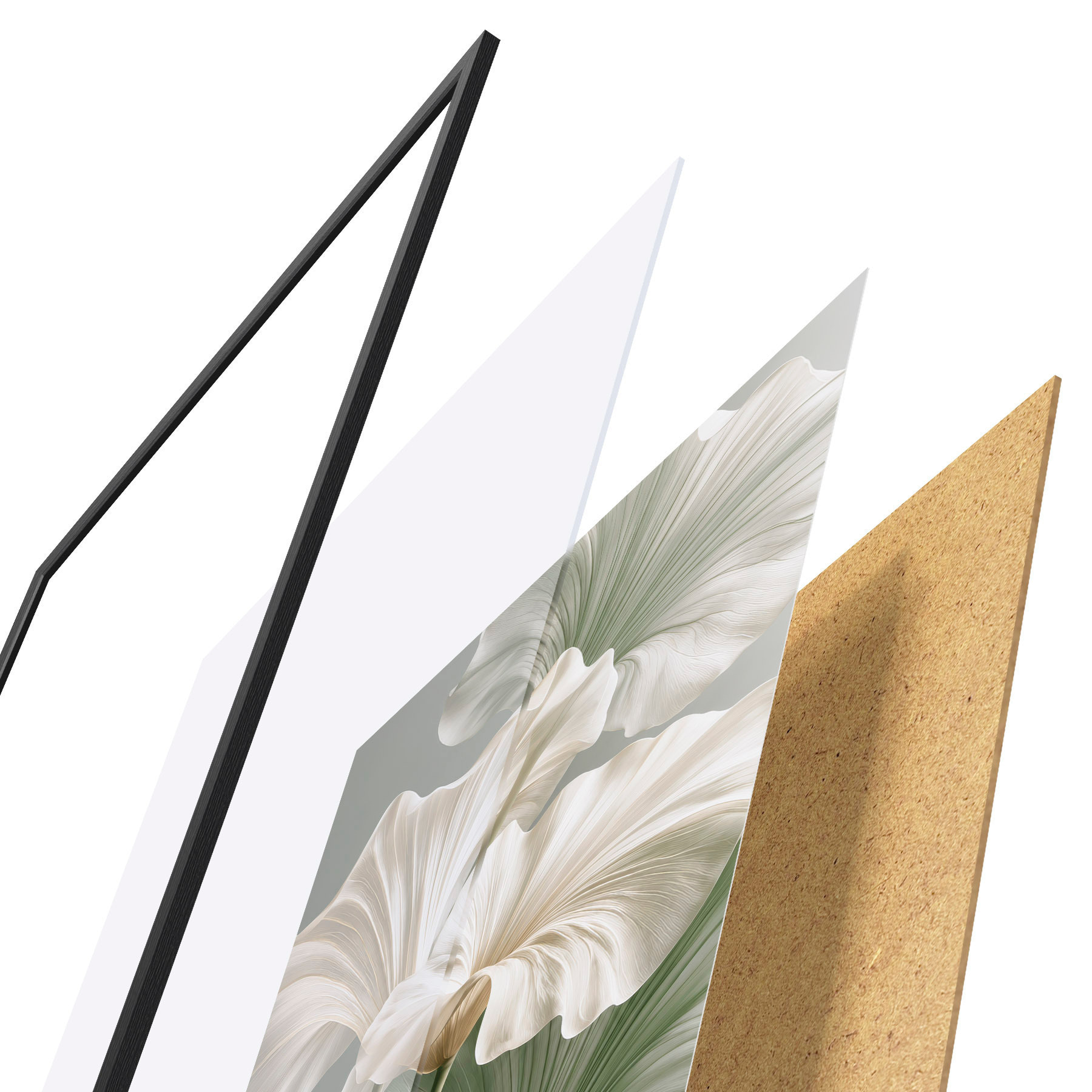 Poster Foglie delicate f50868