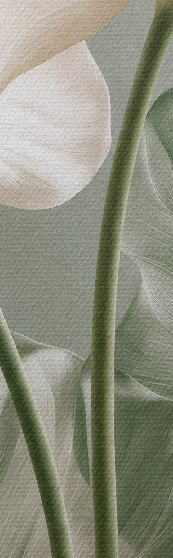 Quadro Foglie delicate nr. s50867