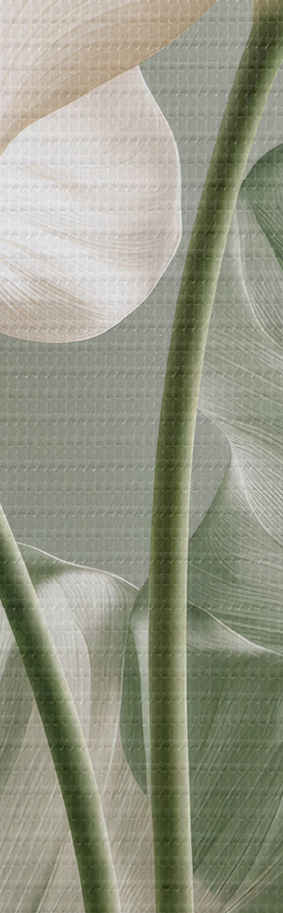 Quadro Foglie delicate nr. s50867