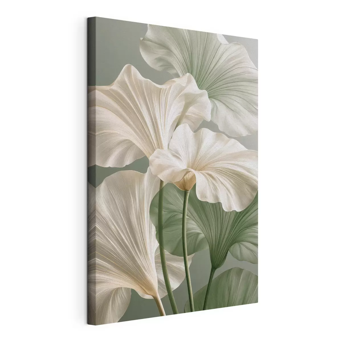 Quadro Foglie delicate nr. s50868