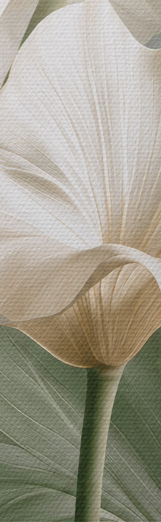 Quadro Foglie delicate nr. s50868