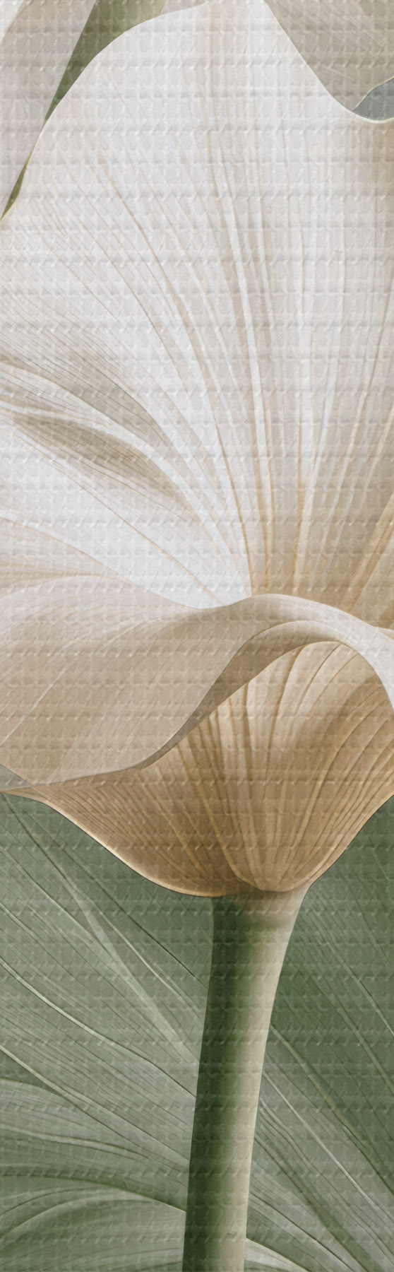 Quadro Foglie delicate nr. s50868