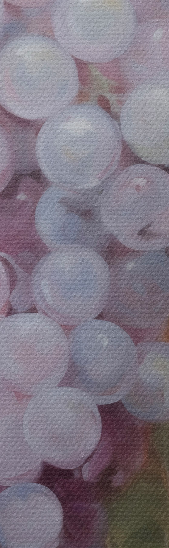 Quadro Uva, imitazione di un dipinto nr. s51124