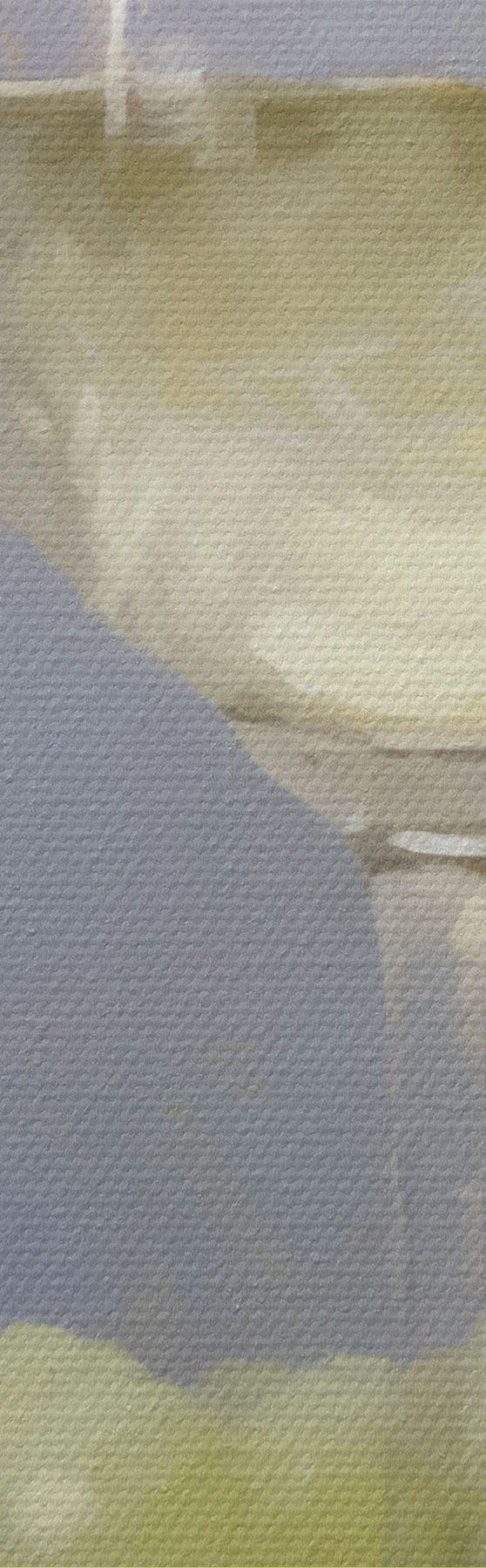Quadro Un bicchiere di vino e dell'uva, l'imitazione di un dipinto nr. s51136