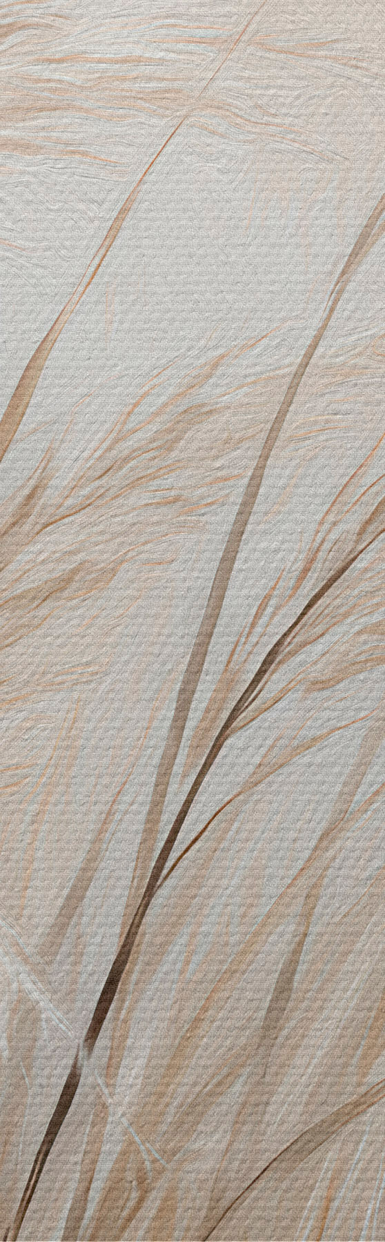 Quadro Spighe di grano nr. s51045