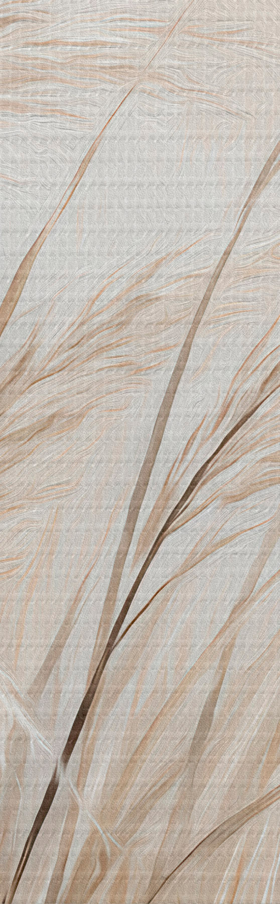Quadro Spighe di grano nr. s51045