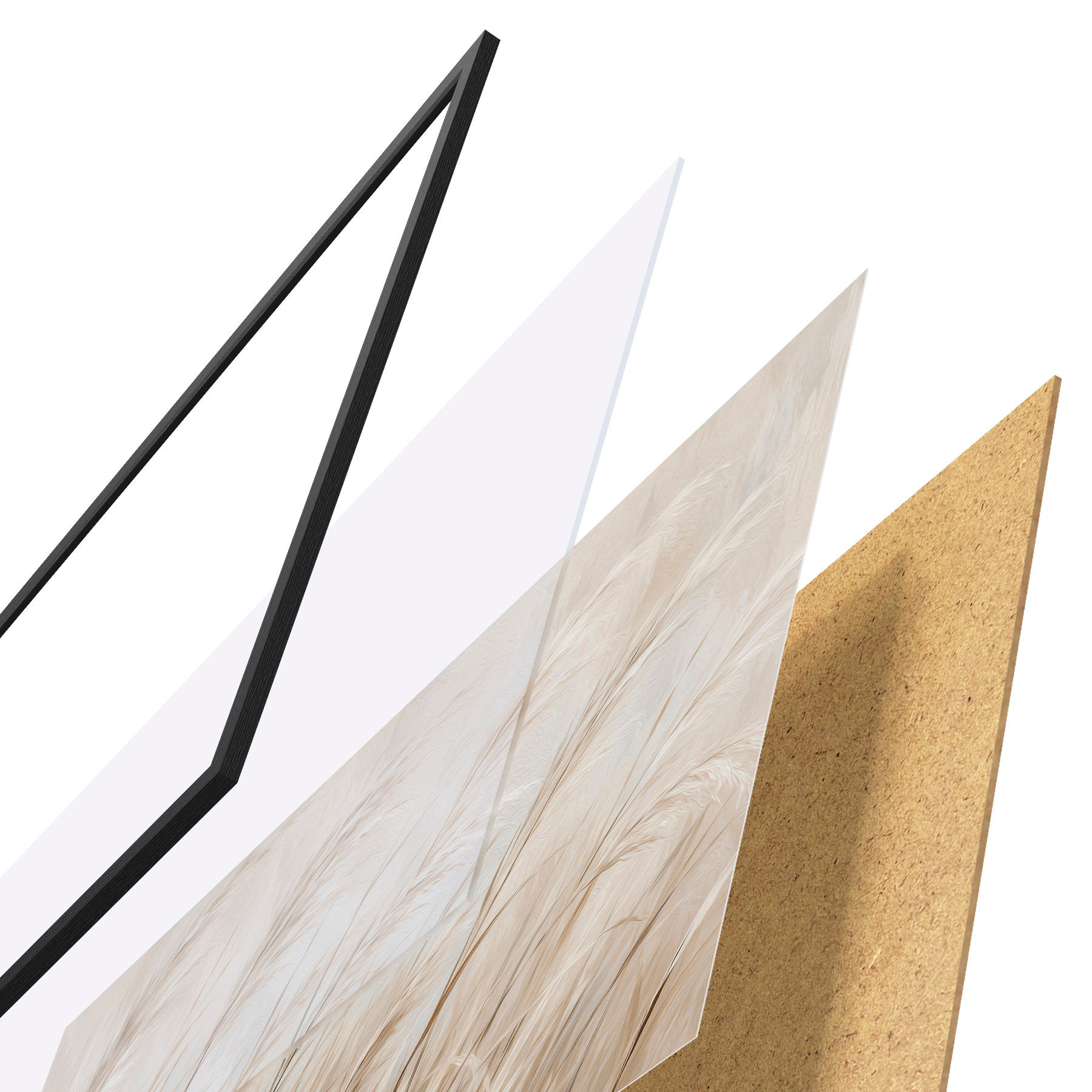 Poster Spighe di grano f51045
