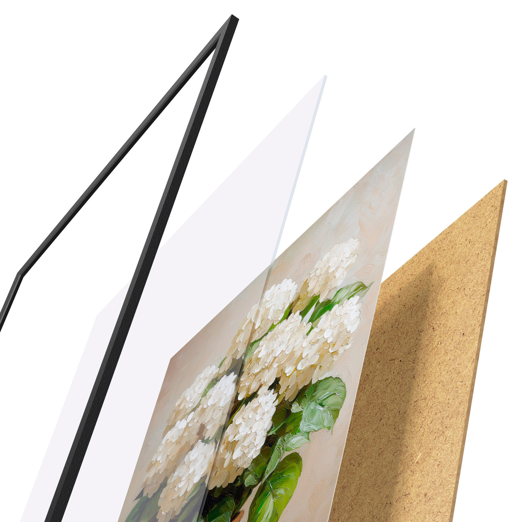 Poster Ortensie bianche f51062