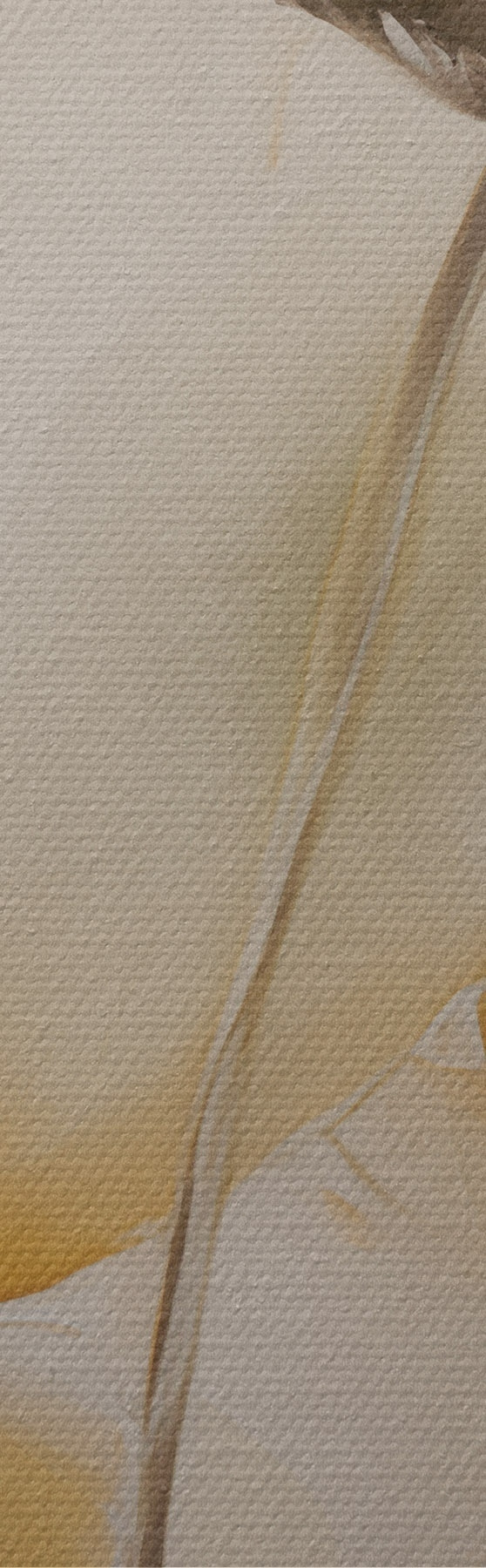 Quadro Papaveri ariosi in tonalità beige nr. s51090