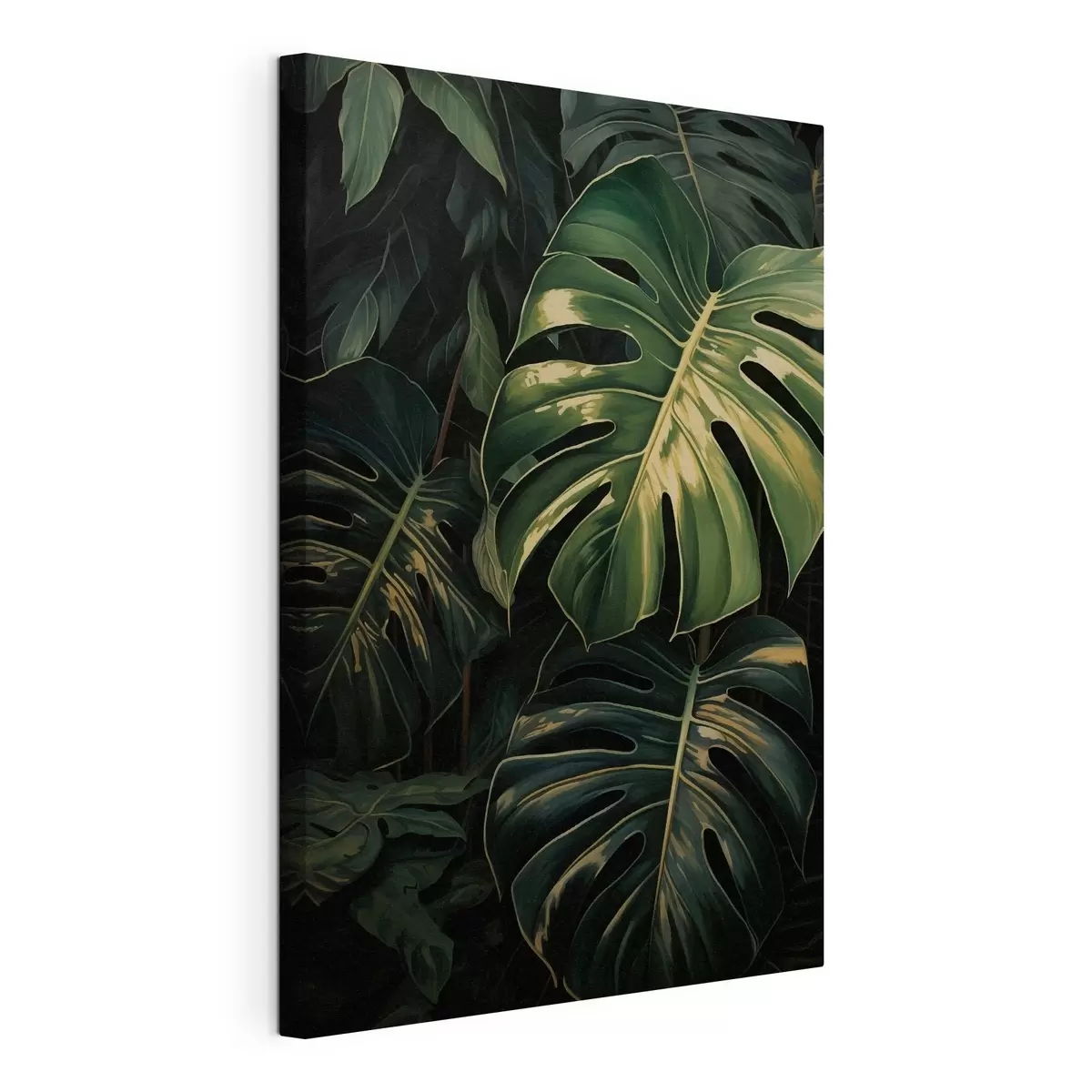 Quadro Foglie lucide di Monstera nei tropici oscuri nr. s51091