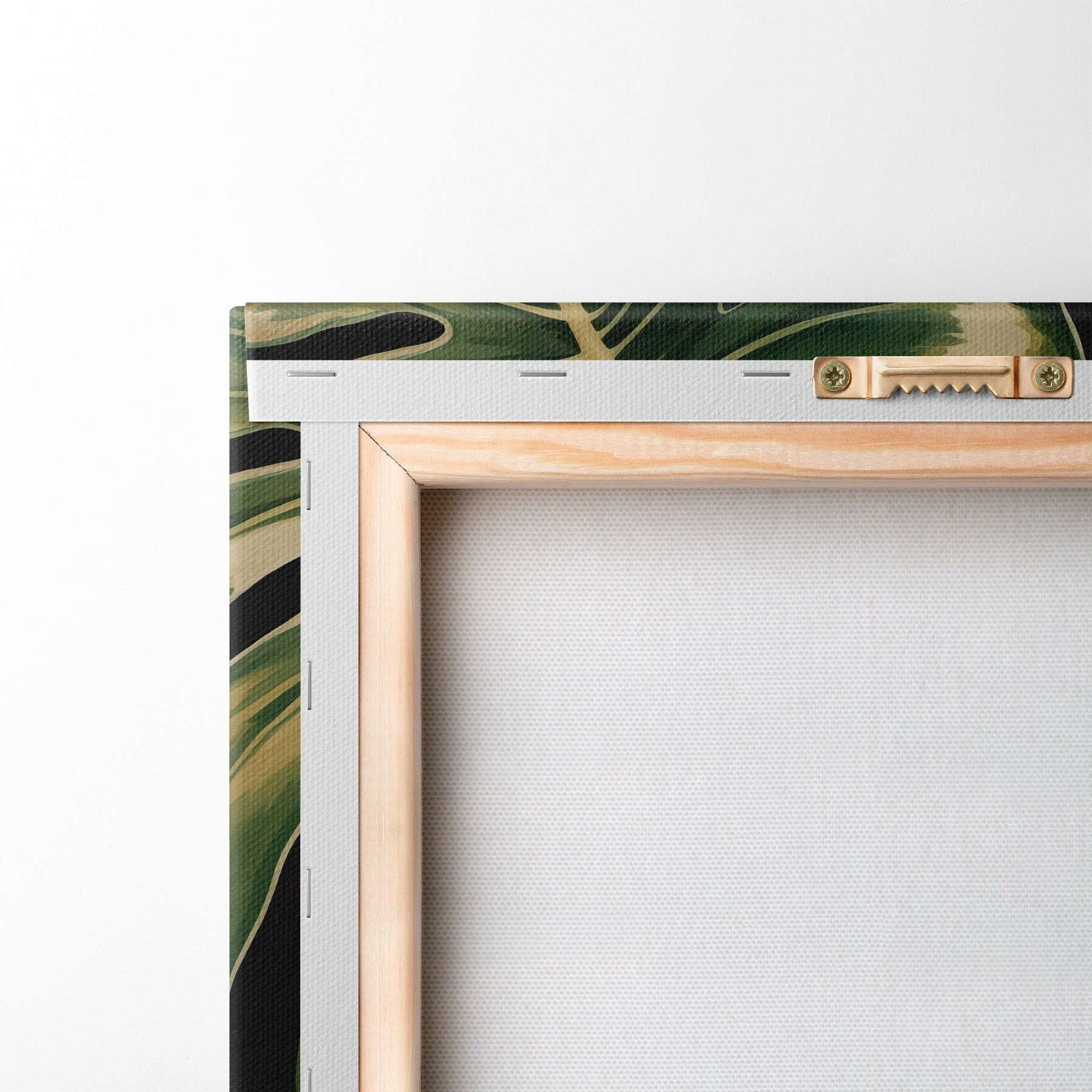 Quadro Foglie lucide di Monstera nei tropici oscuri nr. s51091