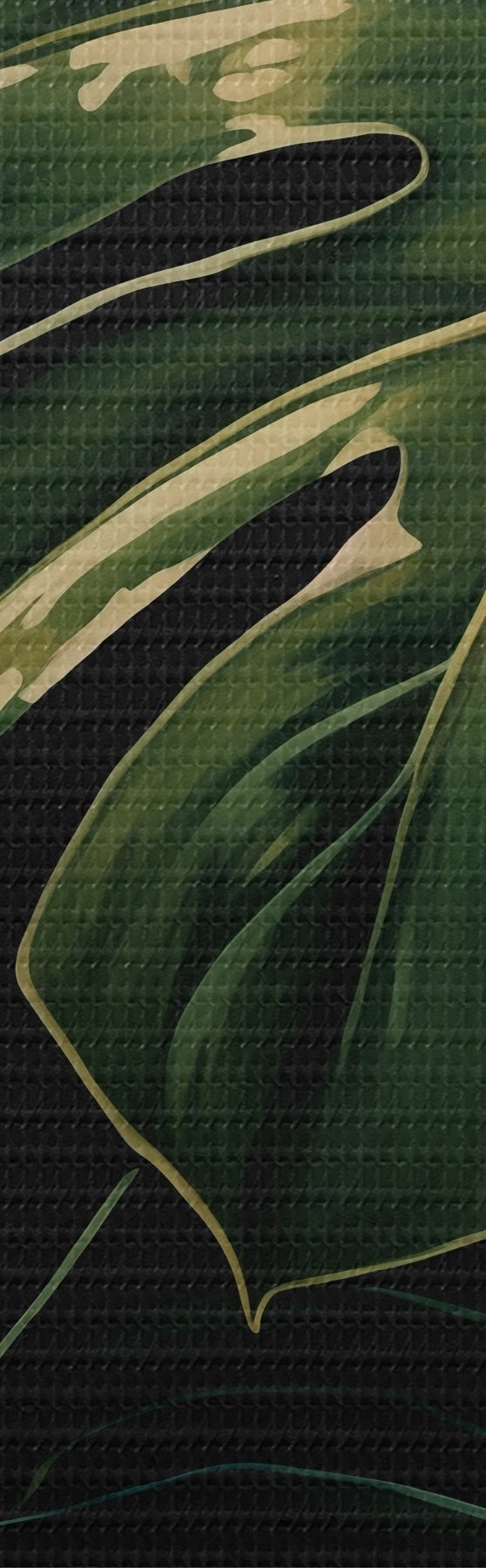 Quadro Foglie lucide di Monstera nei tropici oscuri nr. s51091