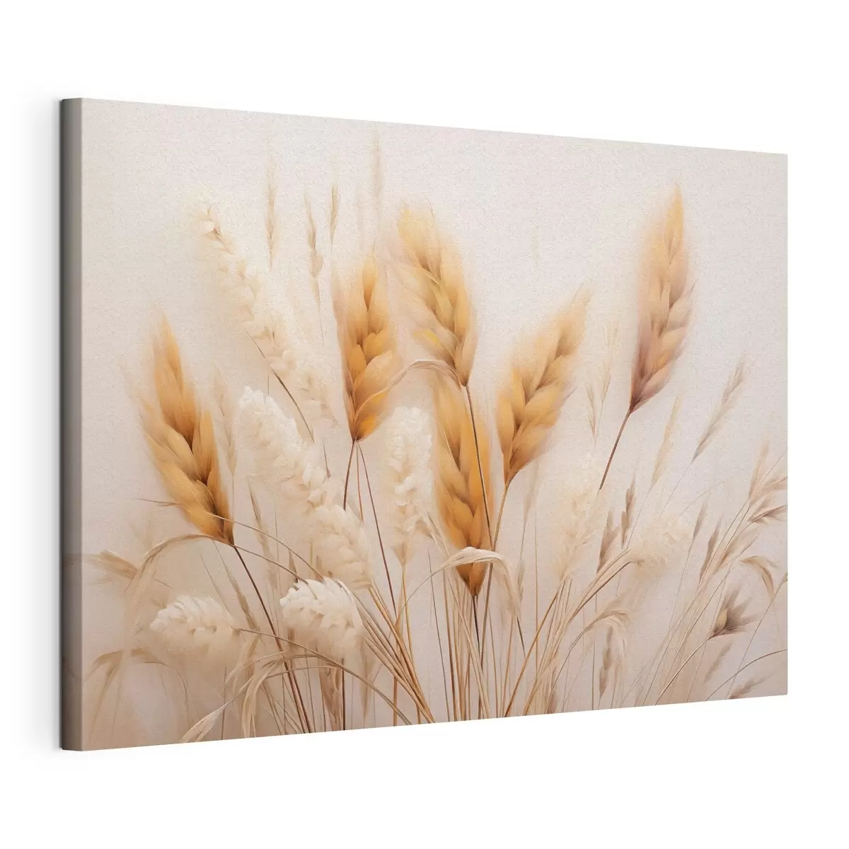 Quadro Morbida erba della pampa in stile ecologico nr. s51093
