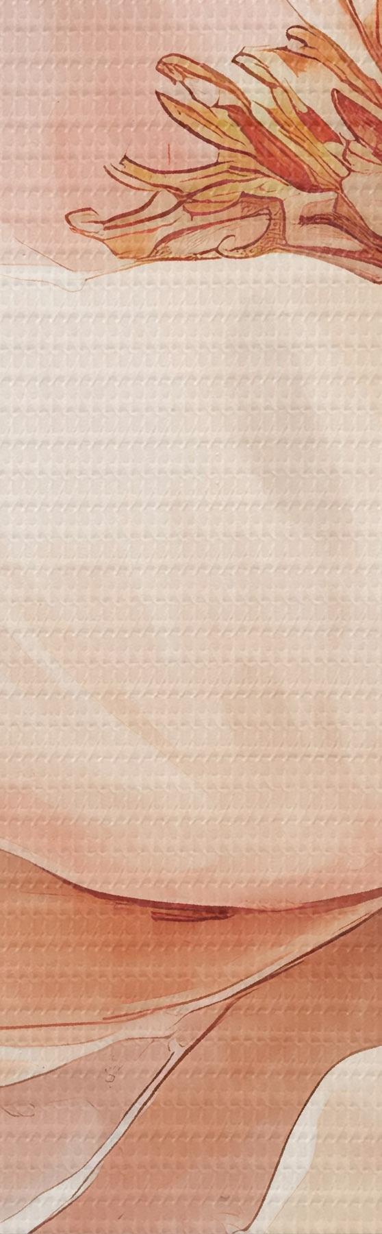 Quadro Fiore acquerellato rosa-beige nr. s51098