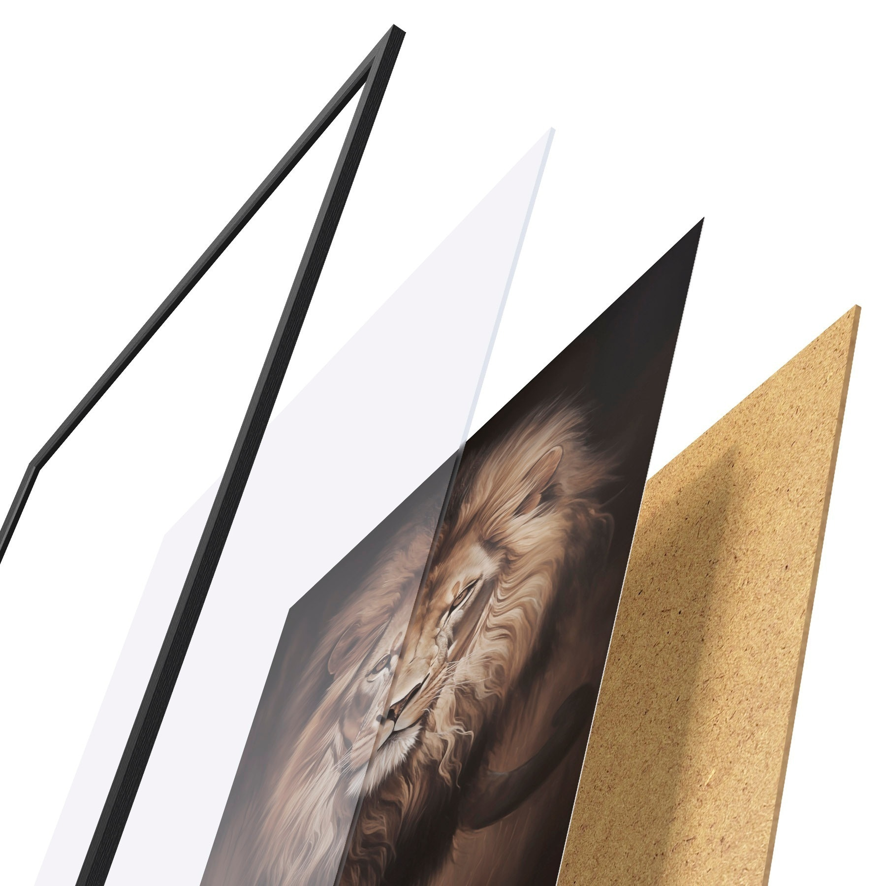 Poster Maestoso leone in un ambiente buio f51087