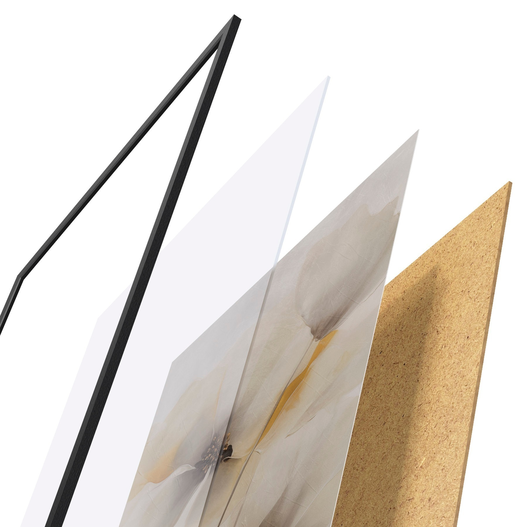 Poster Delicati papaveri su steli sottili f51089