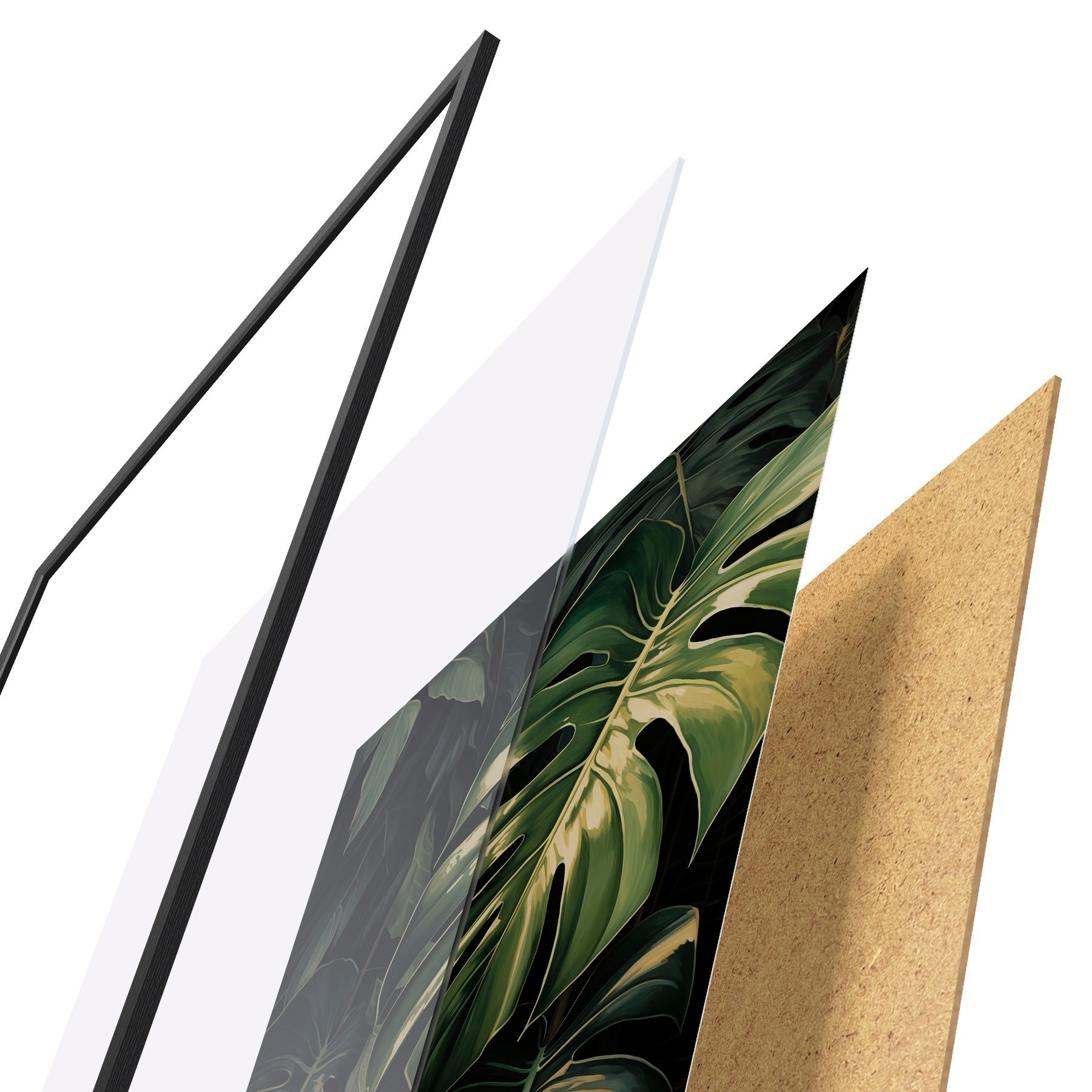 Poster Foglie lucide di Monstera nei tropici oscuri f51091