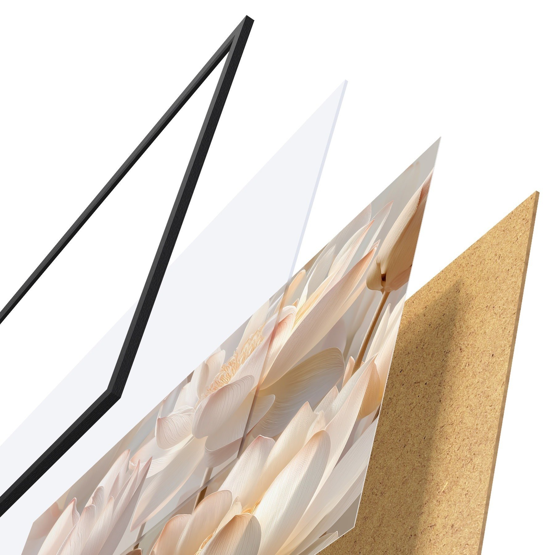 Poster Delicate ninfee e fiori di loto f51092