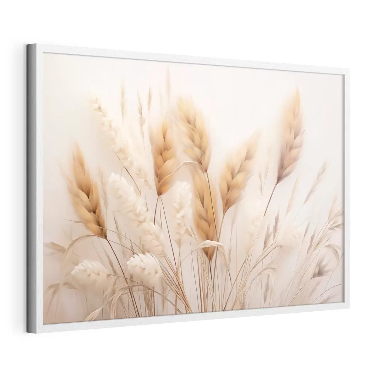 Poster Morbida erba della pampa in stile ecologico f51093