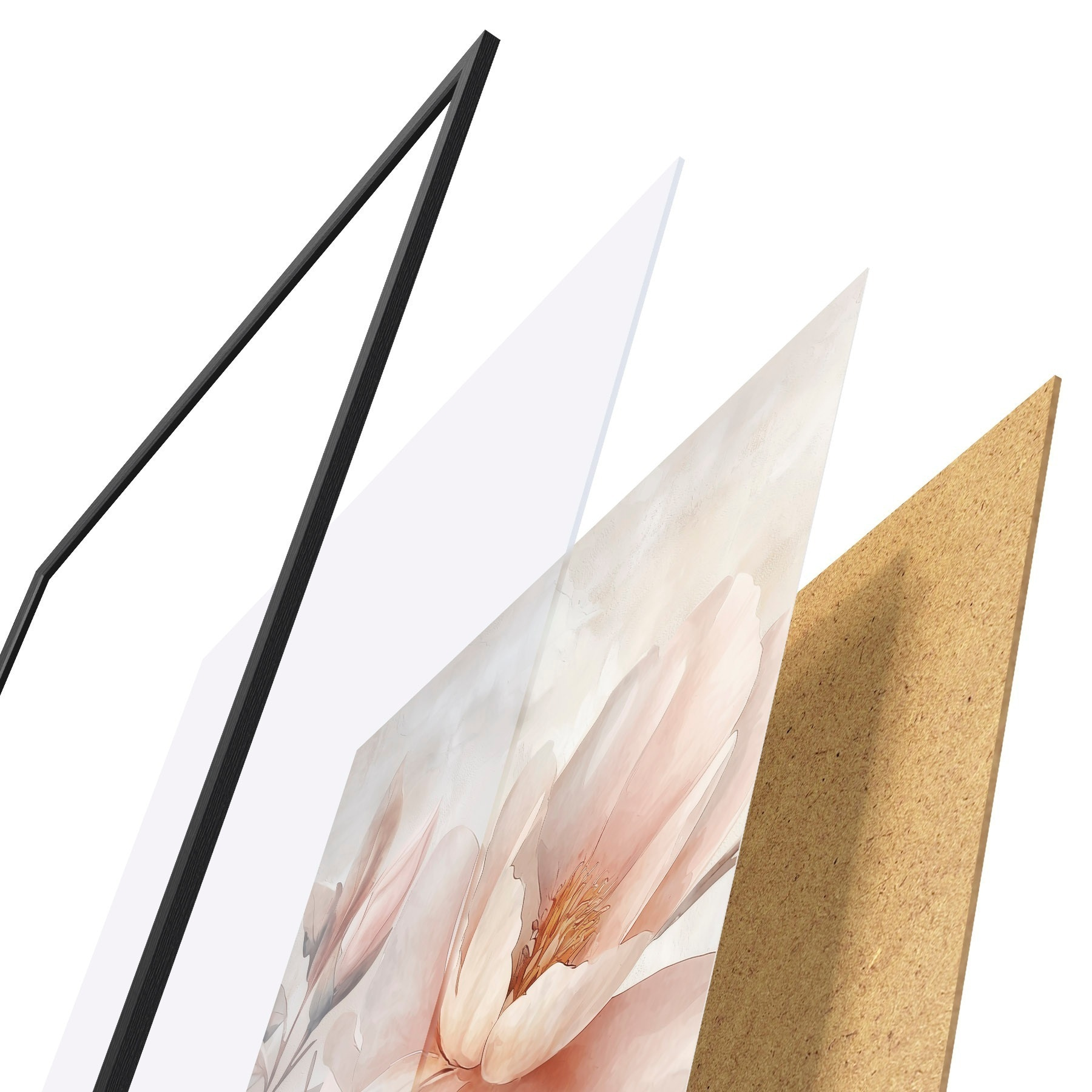 Poster Peonia in polvere con bocciolo f51097