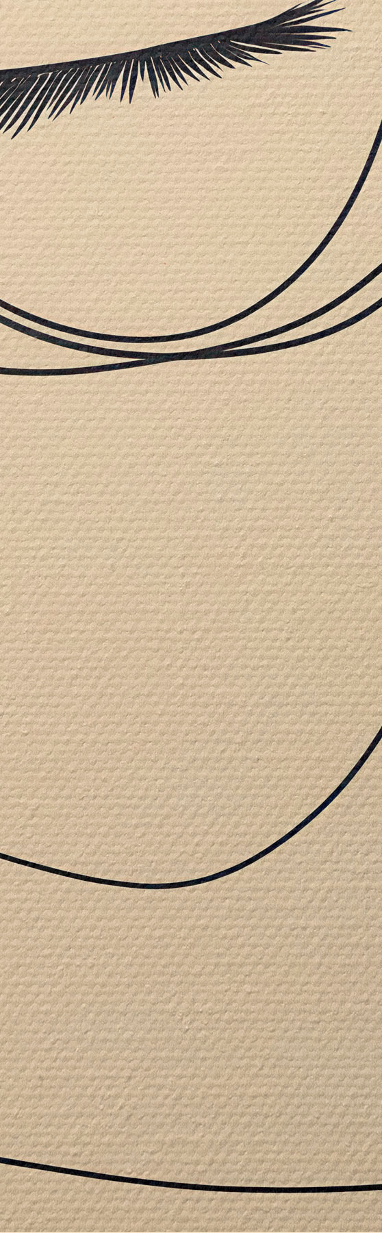 Quadro Ritratto lineare di una donna nr. s51145
