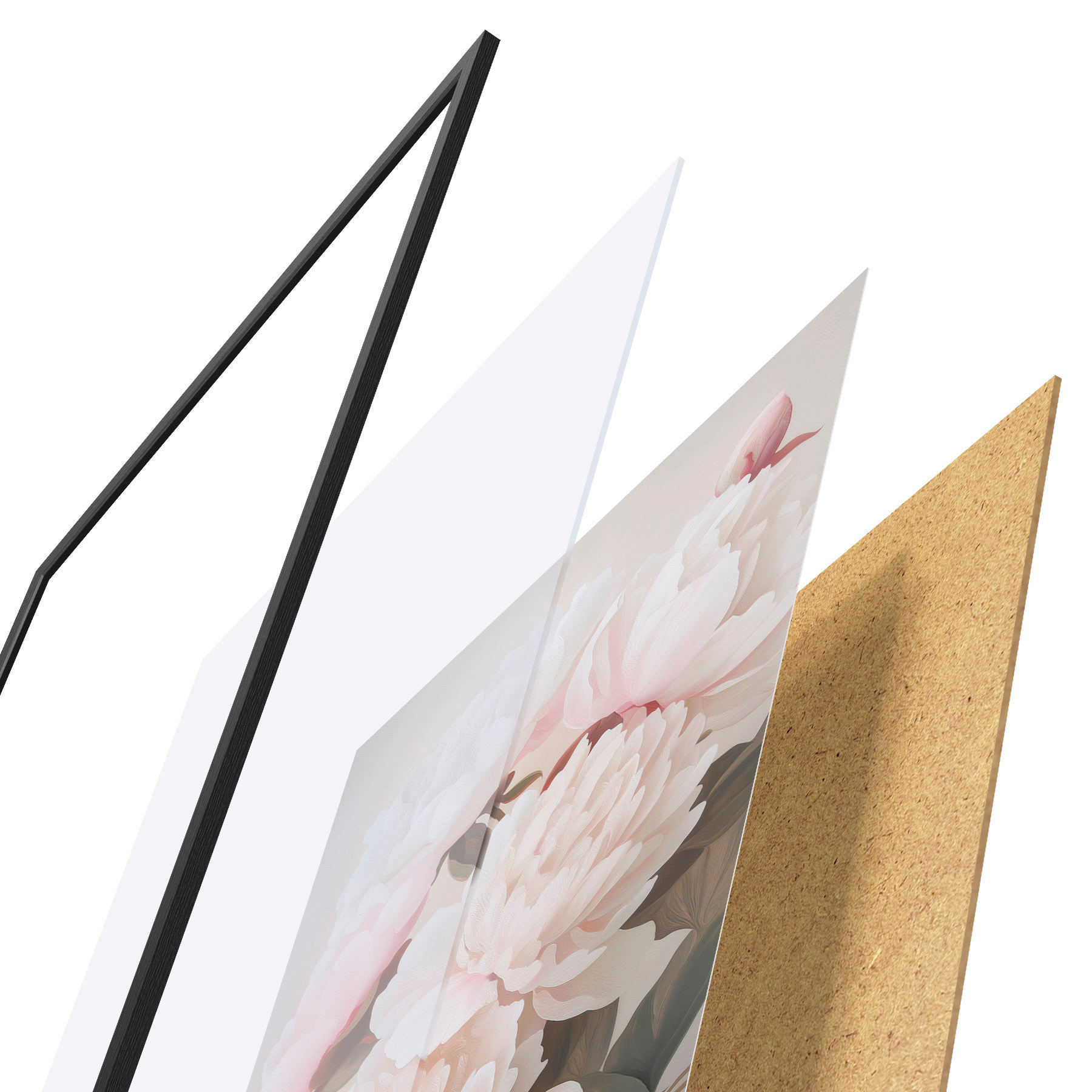 Poster Peonie f51153