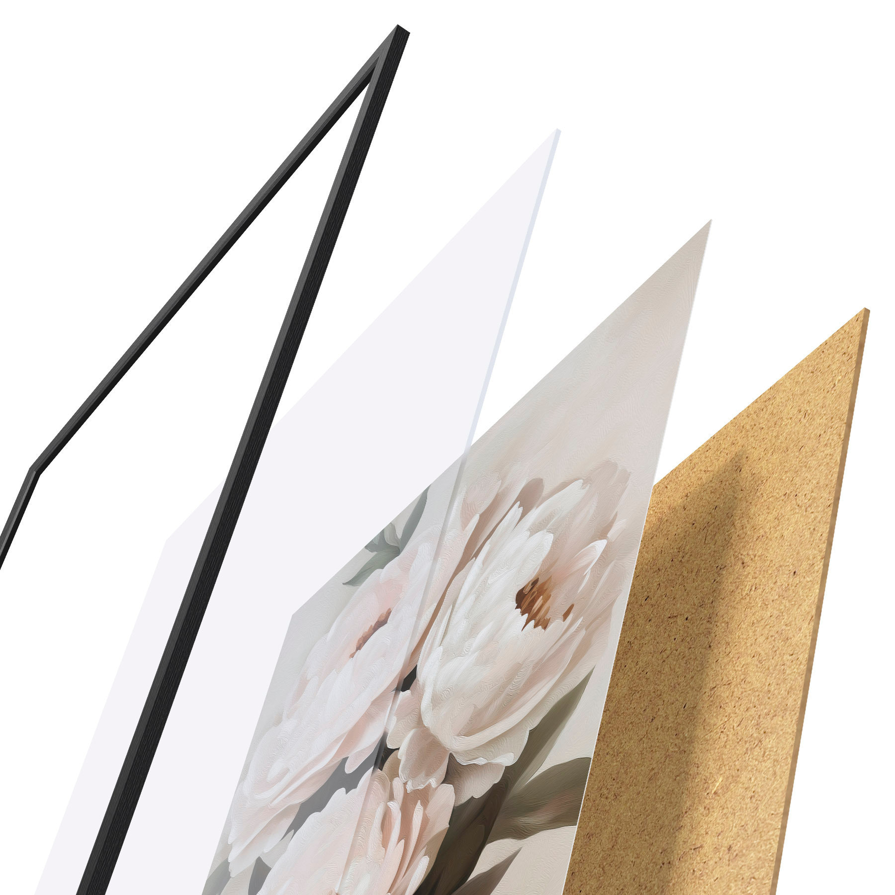 Poster Peonie f51154