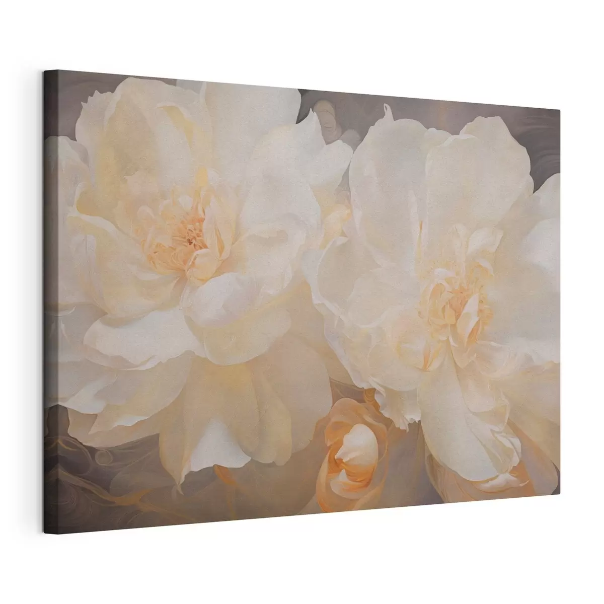 Quadro Primo piano su due peonie chiare nr. s51088